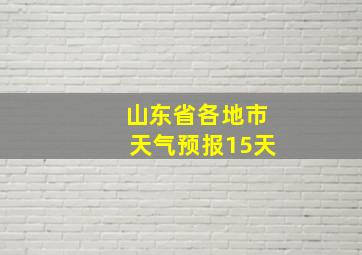 山东省各地市天气预报15天