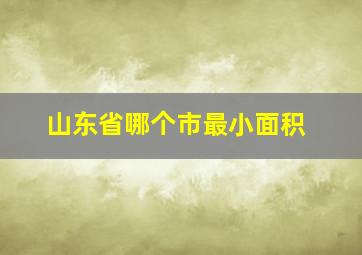 山东省哪个市最小面积