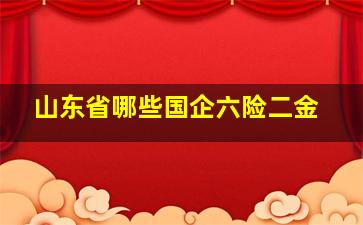 山东省哪些国企六险二金