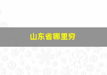 山东省哪里穷