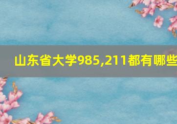 山东省大学985,211都有哪些