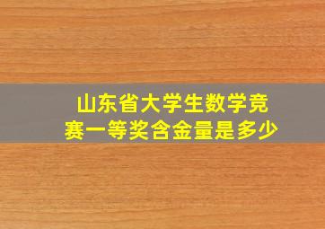 山东省大学生数学竞赛一等奖含金量是多少