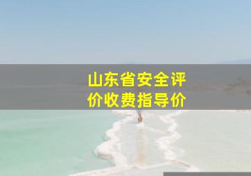 山东省安全评价收费指导价