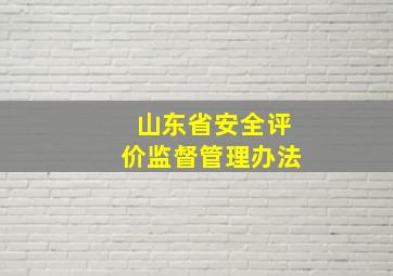 山东省安全评价监督管理办法