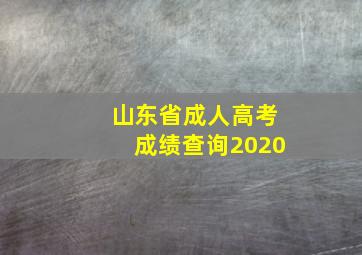 山东省成人高考成绩查询2020