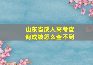 山东省成人高考查询成绩怎么查不到