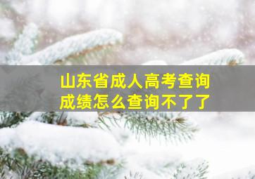 山东省成人高考查询成绩怎么查询不了了