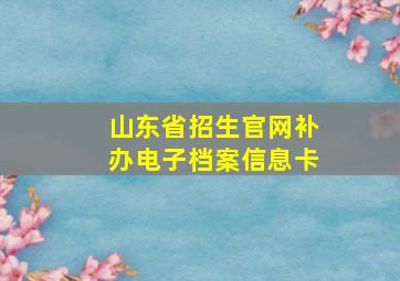 山东省招生官网补办电子档案信息卡