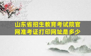 山东省招生教育考试院官网准考证打印网址是多少