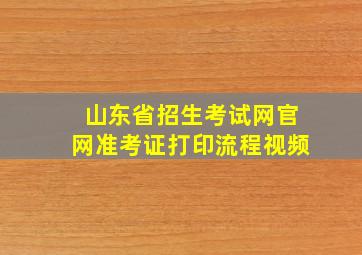 山东省招生考试网官网准考证打印流程视频