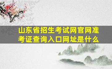 山东省招生考试网官网准考证查询入口网址是什么