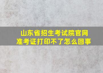 山东省招生考试院官网准考证打印不了怎么回事