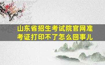 山东省招生考试院官网准考证打印不了怎么回事儿