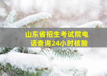 山东省招生考试院电话查询24小时核酸