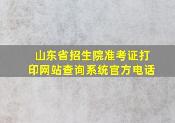 山东省招生院准考证打印网站查询系统官方电话