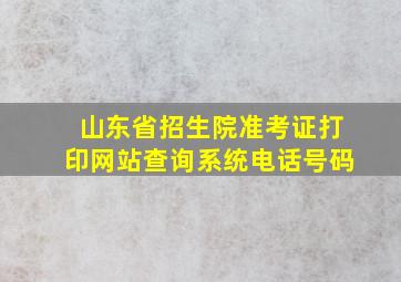 山东省招生院准考证打印网站查询系统电话号码