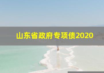 山东省政府专项债2020