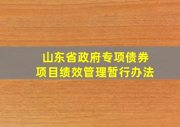 山东省政府专项债券项目绩效管理暂行办法