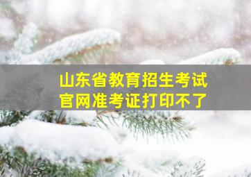 山东省教育招生考试官网准考证打印不了