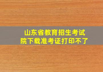 山东省教育招生考试院下载准考证打印不了