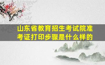 山东省教育招生考试院准考证打印步骤是什么样的