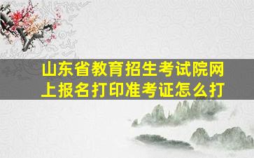 山东省教育招生考试院网上报名打印准考证怎么打