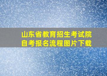 山东省教育招生考试院自考报名流程图片下载