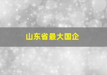 山东省最大国企