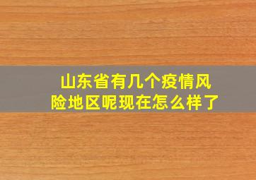 山东省有几个疫情风险地区呢现在怎么样了