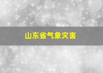 山东省气象灾害