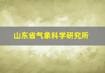 山东省气象科学研究所