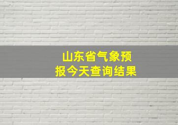 山东省气象预报今天查询结果