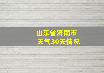 山东省济南市天气30天情况