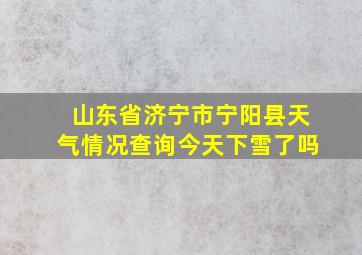 山东省济宁市宁阳县天气情况查询今天下雪了吗