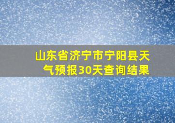 山东省济宁市宁阳县天气预报30天查询结果