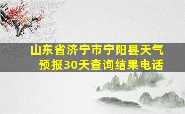 山东省济宁市宁阳县天气预报30天查询结果电话