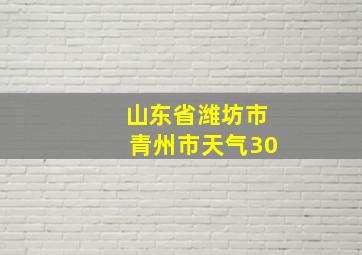 山东省潍坊市青州市天气30