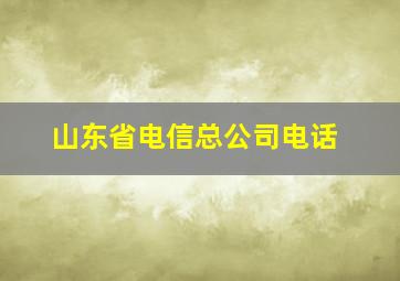 山东省电信总公司电话