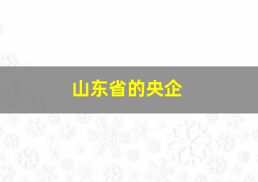 山东省的央企