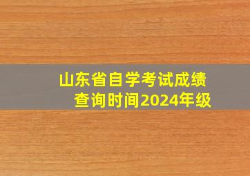 山东省自学考试成绩查询时间2024年级