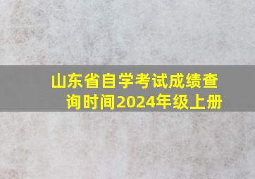 山东省自学考试成绩查询时间2024年级上册