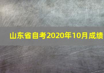 山东省自考2020年10月成绩