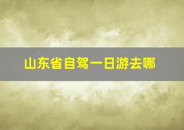 山东省自驾一日游去哪