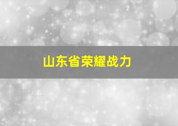 山东省荣耀战力