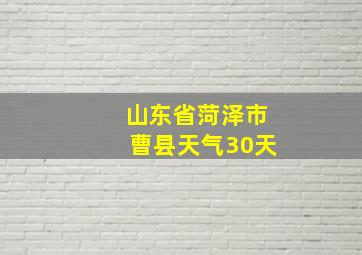 山东省菏泽市曹县天气30天