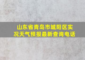 山东省青岛市城阳区实况天气预报最新查询电话