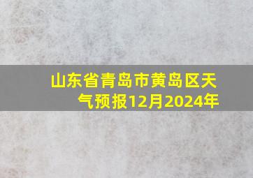 山东省青岛市黄岛区天气预报12月2024年