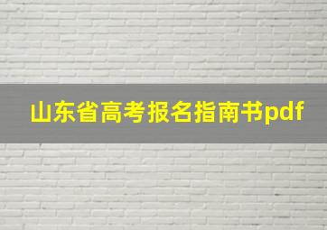 山东省高考报名指南书pdf