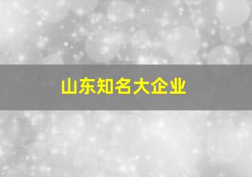 山东知名大企业