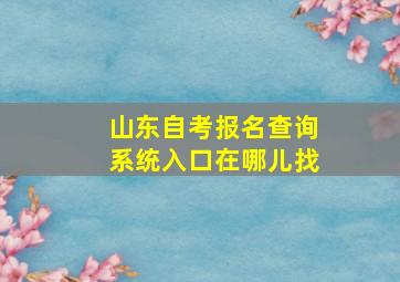 山东自考报名查询系统入口在哪儿找